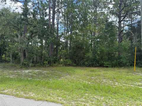 00 SW 81ST CIRCLE, OCALA, FL 34473