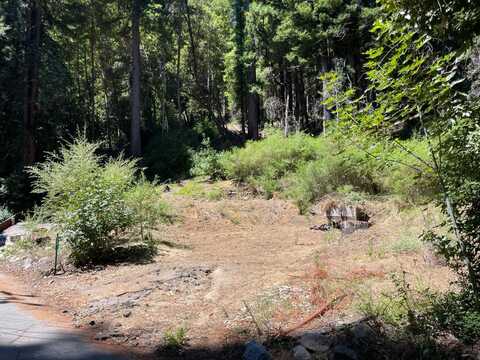 230 Brook LN, BOULDER CREEK, CA 95006