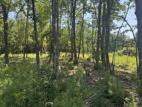 Tbd Brookside Lane, Appleton, ME 04862