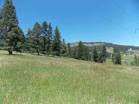 720 Morning View Drive, Kalispell, MT 59901