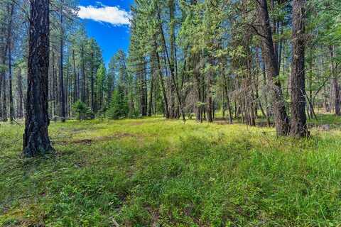 nhn Kelley Drive, Bigfork, MT 59911