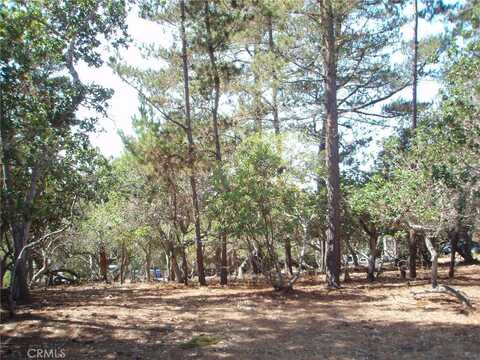 1865 Dreydon Avenue, Cambria, CA 93428