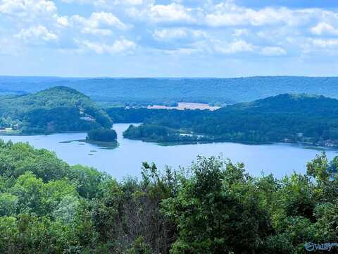 Lot 210 County Road 767, Cedar Bluff, AL 35959