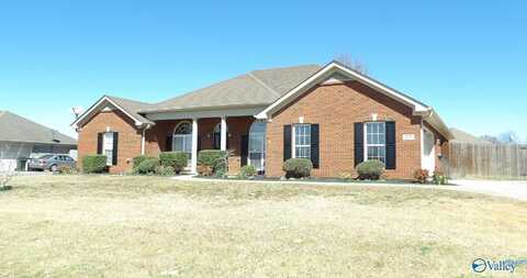 317 Smokey Hills Court, New Market, AL 35761