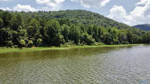 148 Acres County Road 21, Ashville, AL 35953