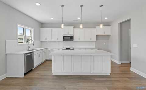 154 Rose Valley Drive, New Market, AL 35761