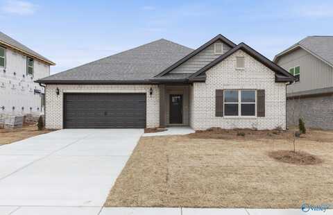 126 Striker Lane, Harvest, AL 35749