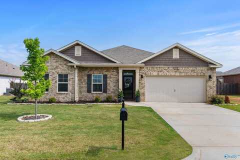 25032 Delilah Circle, Athens, AL 35613