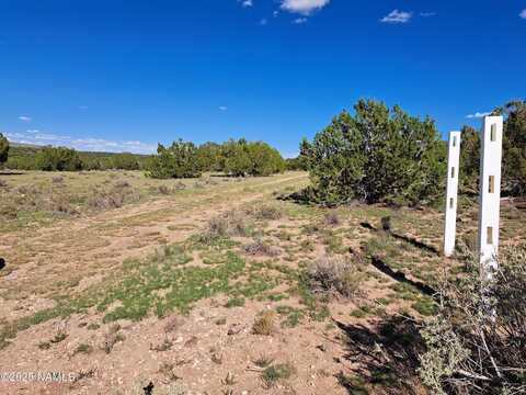 9835 W Latigo Road, Williams, AZ 86046