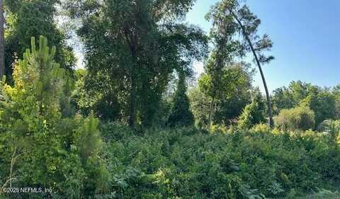 203 PLUMOSA Drive, Georgetown, FL 32139