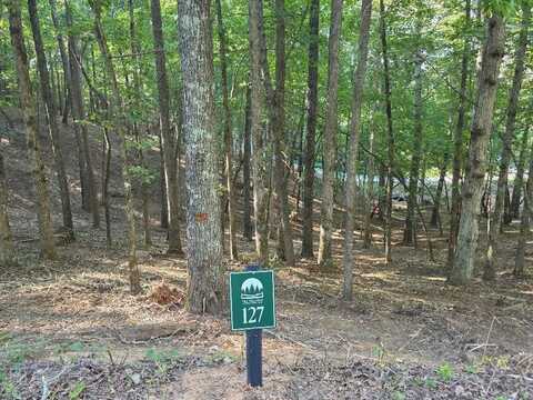 Lot 127r Red Oak Trail, East Ellijay, GA 30540