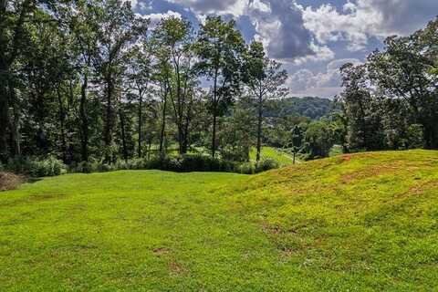 Lots 6-8 Parkview Drive, Ellijay, GA 30540