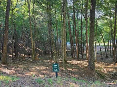 126r Red Oak Trail, East Ellijay, GA 30540