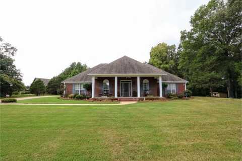 153 Old Payne, Saltillo, MS 38866