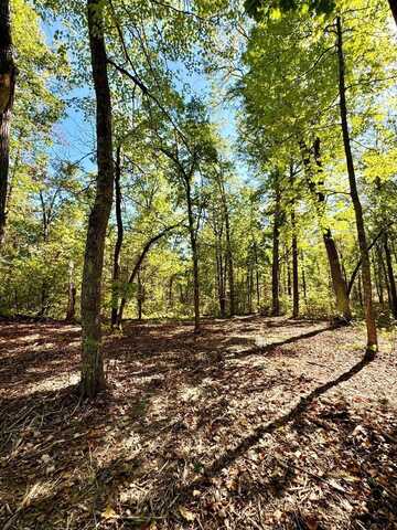 TBD5 Winter Creek Court, Nisswa, MN 56468