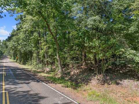 TBD FM 225 S, Laneville, TX 75667