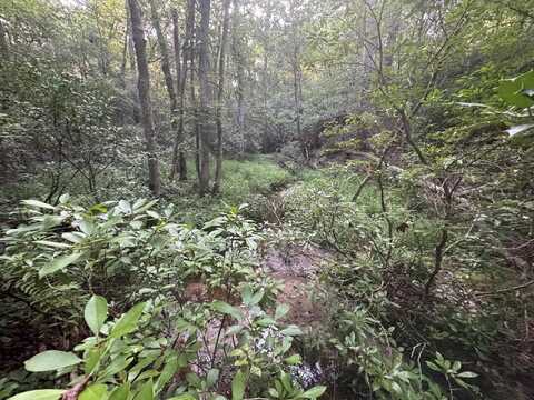 Lot 184 Wild Horse Trl, Lancaster, VA 22503