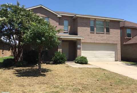 201 Pagoda Drive, Anna, TX 75409
