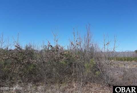TBD Boat Ramp Road, Hertford, NC 27944