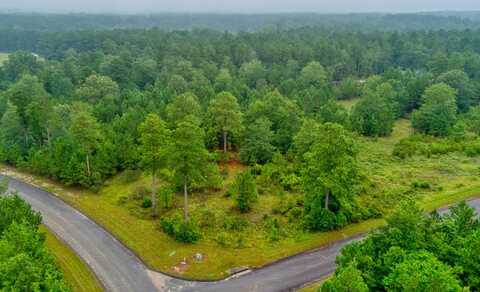 Lot 5 Cooks Pond Road, Windsor, SC 29856