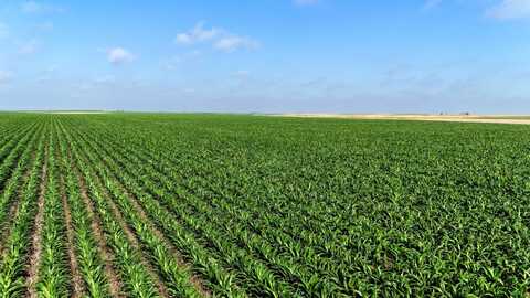 TBD Road 26, Lodgepole, NE 69149