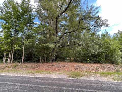 TBD Rivers Hill Road, Varnville, SC 29944