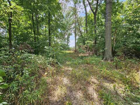 0000 N Cash Lane, Waltonville, IL 62894