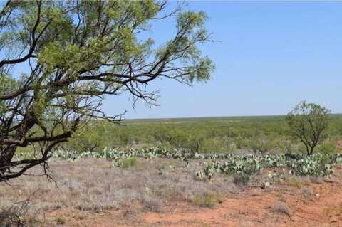 15008 County Rd 234, Westbrook, TX 79565