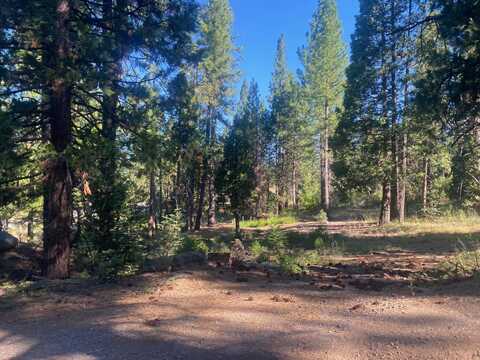 7500 Highway 147, Lake Almanor, CA 96137