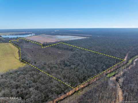 9555 Hwy 71, Washington, LA 70589