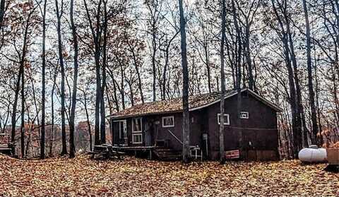 16217 W Musky Point Drive, Sand Lake, WI 54876