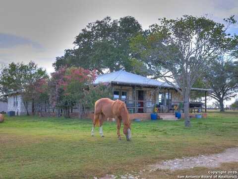 17188 Wildhorse Pass, Marion, TX 78124