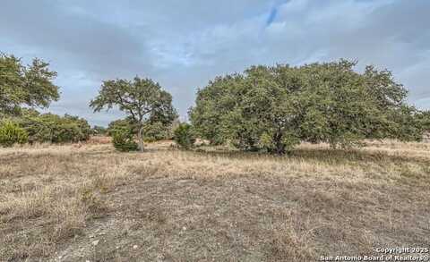 161 Mystic Shores, Spring Branch, TX 78070
