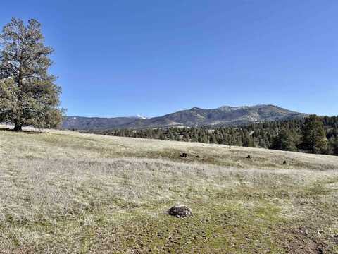 Lots 549 & 550 Blue Gill Dr., Montague, CA 96064
