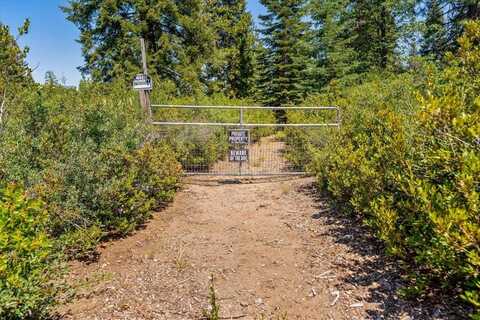 2-D-30 Snowline Circle, McCloud, CA 96057