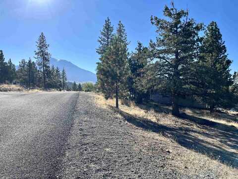 0000 Indian Hill Dr., Weed, CA 96094