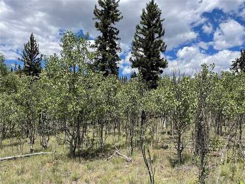 771 TETON TRAIL, Como, CO 80432