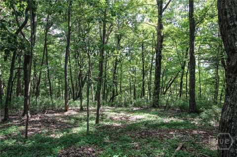 8088 Ridgeview Drive, BigCanoe, GA 30143