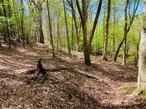 2b Curry Falls Trail Road, Athens, GA 30607