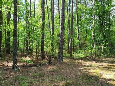 0 Fish Road, Dalzell, SC 29040