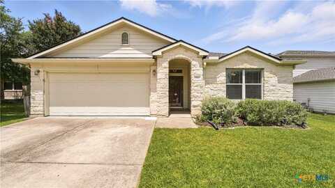 1312 Sunflower Lane, San Marcos, TX 78666