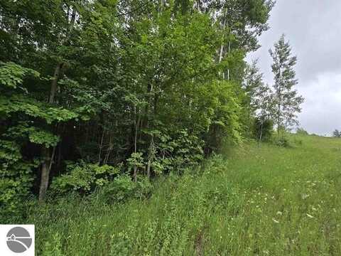 00 N 9 Road, Mesick, MI 49668
