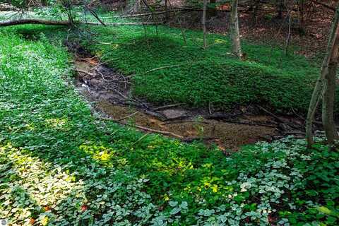 0000 Grandview Road, Traverse City, MI 49684
