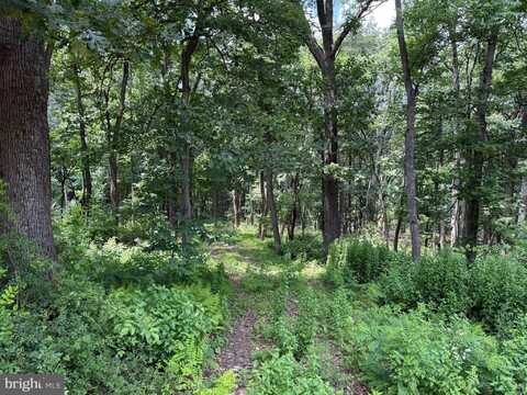 82 CABIN ROAD, AUGUSTA, WV 26704
