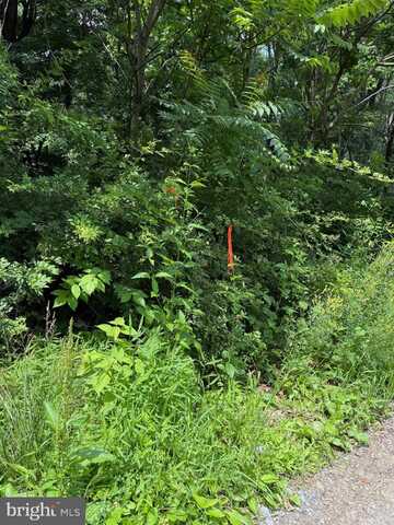 81 & 82 CABIN ROAD, AUGUSTA, WV 26704