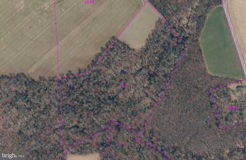 12145 GREGG ROAD, HARRINGTON, DE 19952
