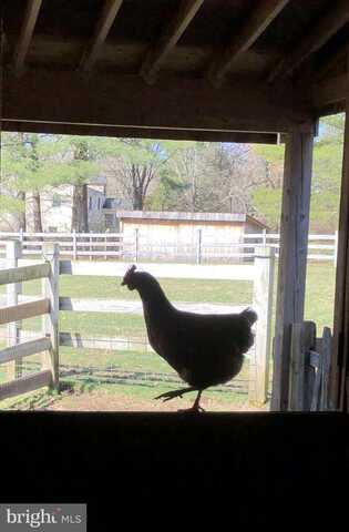 1221 CREEK ROAD, FURLONG, PA 18925