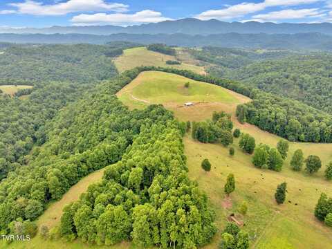 000 Strong Hollow Lane, Fort Blackmore, VA 24250