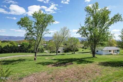 00 Tiny Lane, Greeneville, TN 37743