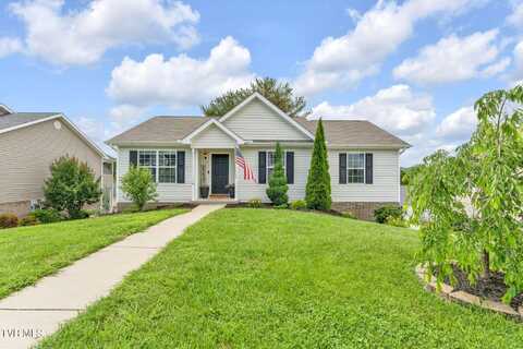 118 Violet Lane, Bluff City, TN 37618